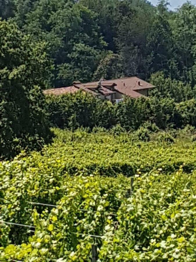 La Casa Di Roby-1 Appartamento La Morra Con Piscina Exteriör bild